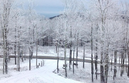 Snowshoe Casa | TARIFAS DE VERANO !!! ¡CERCA DE RAVEN GOLF COURSE, CASS RAILROAD Y SNOWSHOE RESORT!
