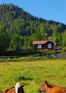 Sunne Municipality Casa | Skinnerud Där Öpp