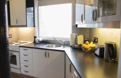 Downtown Apartamento | Skolo Reykjavik Apartments