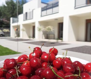 Skorzecin Apartamento | Skorzęcin Pachnie Miętą