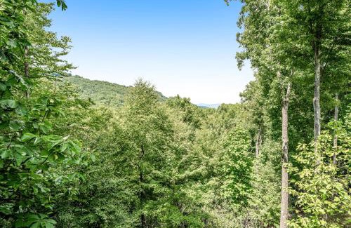 Beech Mountain Casa | Sky Reach at Beech