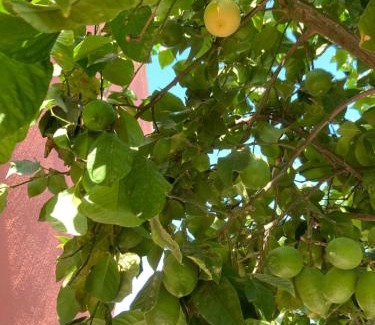 Bollullos de la Mitación Apartamento | Skydiversnestdotcom