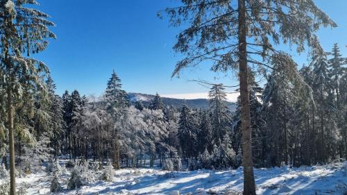 Koenigstein im Taunus Apartamento | Skyline-Blick