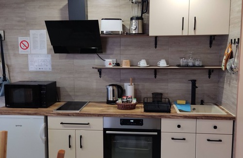 Petrovaradin Apartamento | Sladjana Apartments, AP 5