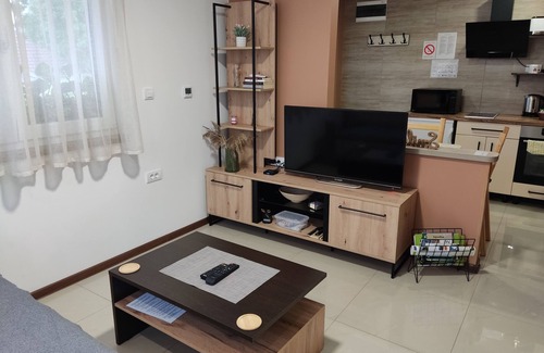 Petrovaradin Apartamento | Sladjana Apartments, AP 5