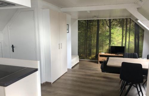 Vlimmeren Apartamento | slapen bij alpacas