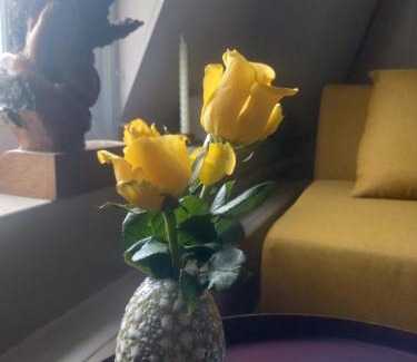 Leerdam Casa | Slapen bij de molenaar