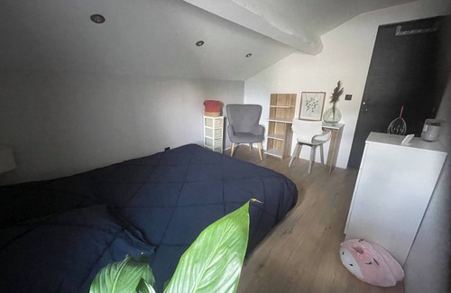 Saint-Symphorien-d'Ozon Cama Y Desayuno | Sleek bedroom