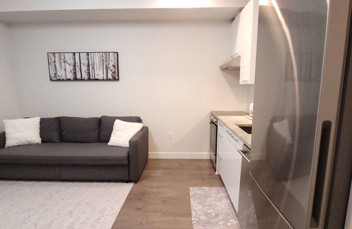 Langley Condominio | Sleek Gem! Modern Comfort Condo Downtown Langley