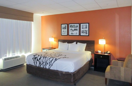 Dania Beach Hotel | Sleep Inn & Suites Fort Lauderdale Airport
