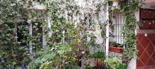 San Francisco-Ribera Apartamento | Sleep & Shower in a typical district