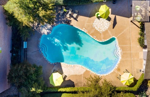 Windsor Park Apartamento | Sleepover : Peaceful 1BD/1BA + Gym - Austin TX