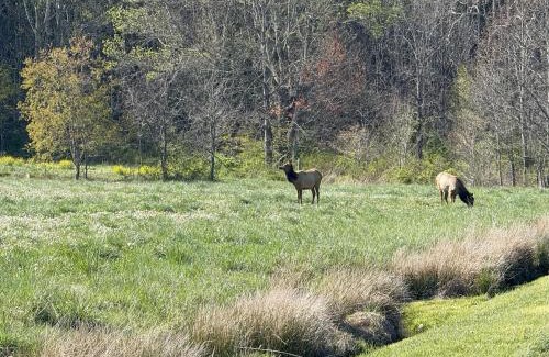 Maggie Valley Casa | Sleepy Bear Cabin-Watch the Sunset, Dogs welcome with Pet Rate