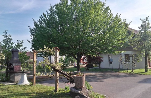 Radomlje Apartamento | ESLOVENIA RESORT APARTAMENTOS Y HABITACIONES
