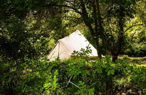 Vedevag Otro | Slow Life Sweden - Nature Nesting Tent