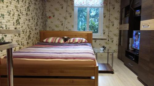 Brasa Apartamento | Small and cozy studio apartment