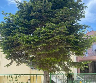 Kavala Apartamento | Small Garden Studio