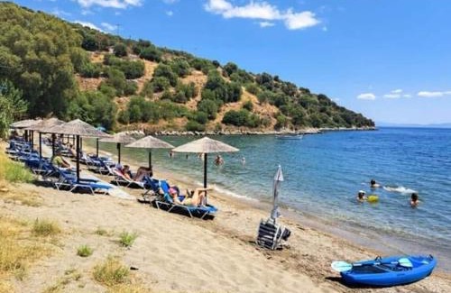 Karvelas Apartamento | Small paradise in kamares 8