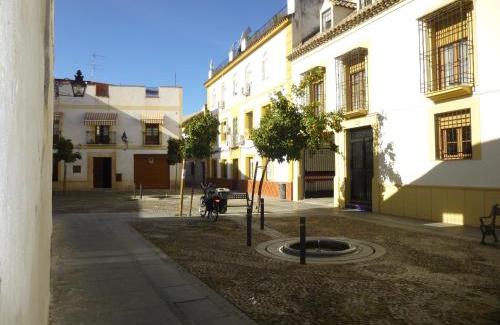San Francisco-Ribera Casa | SMALL ROOM TO SLEEP 2 PEOPLE IN SHARED APARTMENT. TYPICAL AND QUIET DISTRICT