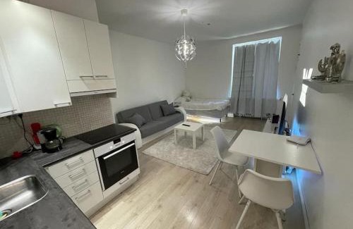 Alppiharju Apartamento | Smart 32m2 studio in a central location - Kallio