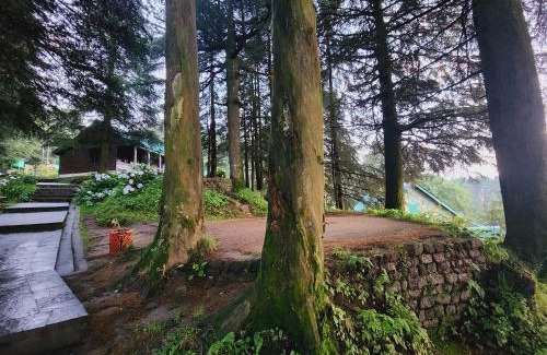 Banikhet Casa | SmartValley View Dalhousie-Nature`s Heaven