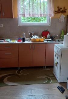 Arilje Apartamento | Smeštaj Nikolić