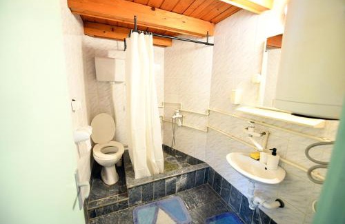 Central Serbia Apartamento | Smestaj SIMOVIC 1