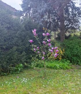 Arilje Casa | Smestaj Vanja