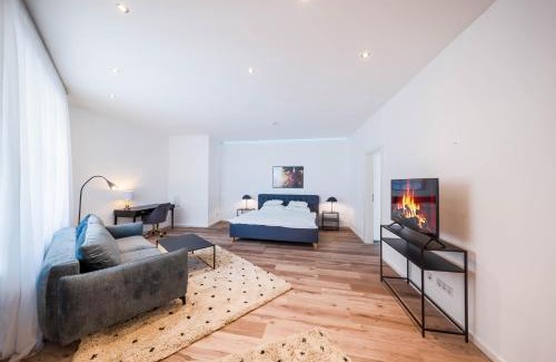 Krems an der Donau Apartamento | Smile Apartments zum Goldenen Hirschen