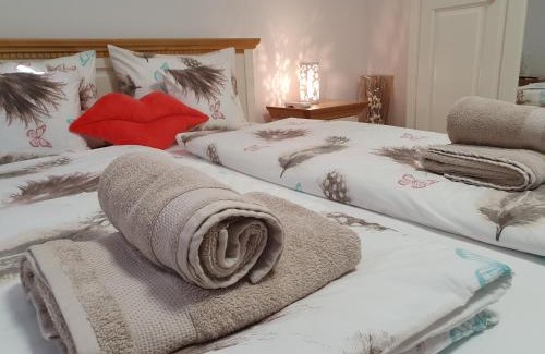 Sibiu Apartamento | Smiley Flowers