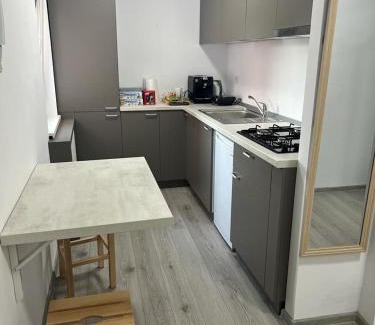 Calea Sever Bocu Apartamento | SMP LIPOVEI