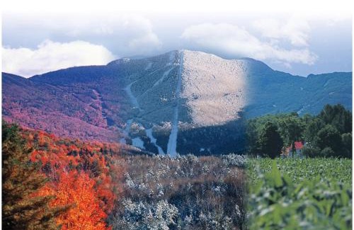 Jeffersonville Apartamento | Smugglers' Notch Resort Private Suites