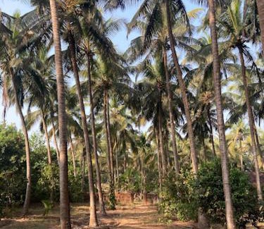 Redi Casa | Sneh Beach Homestay - Wayangani Vengurla
