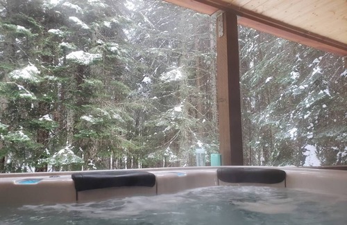 Snoqualmie Pass Cabina | Snoqualmie Pass Ski Cabin w/Hot Tub and Bonus Tree House!