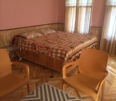 Keylong Apartamento | Snow Peaks View Home Stay