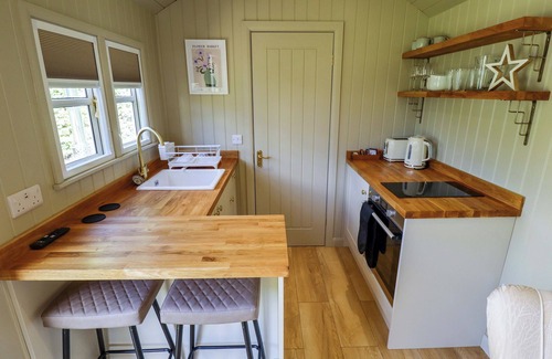 Ashby cum Fenby Cabaña | SNOWDROP, romantic, with hot tub in Waltham