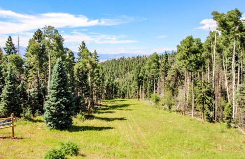Angel Fire Apartamento | Snowfire 208B