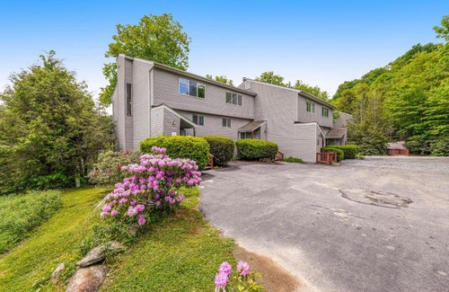 Sugar Mountain Hotel | Snowlake B-09