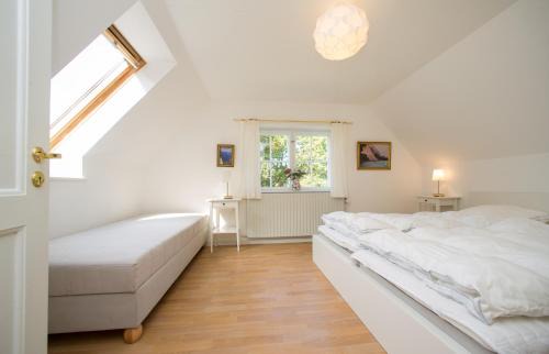 Borre Casa | Snowwhites House