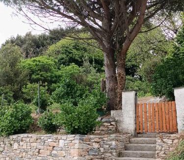 Papa Nero Casa | So Simple Guest House,Mouresi
