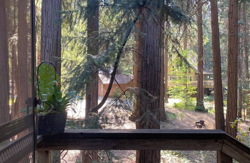 Nevada City Apartamento | Studio with newly remodeled bathroom and soaker tub near Edward's Crossing