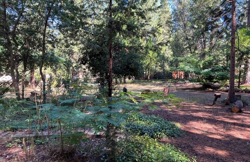 Nevada City Apartamento | Studio with newly remodeled bathroom and soaker tub near Edward's Crossing