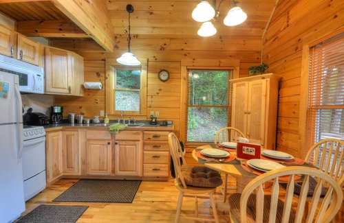 Bryson City Cabina | Soaring Eagle 1 Bedroom Cabin by Redawning