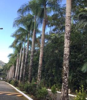 Porto Novo Casa | Sobrado Condominio Park Imperial