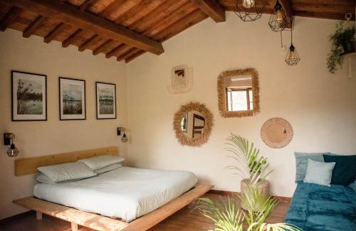 Calci Casa | Social Garden - Private Room