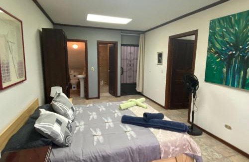Carmen Apartamento | Sofia Apartments in Escalante, San Jose Center