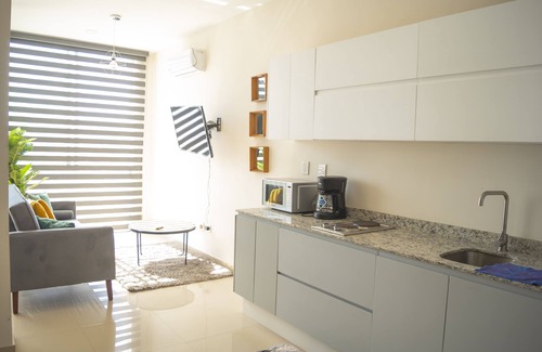 Colonia Ferrocarrilera Condominio | Soho Apartments