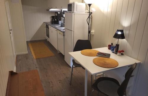 Saltstraumen Apartamento | Sokkelleilighet rett ved Saltstraumen