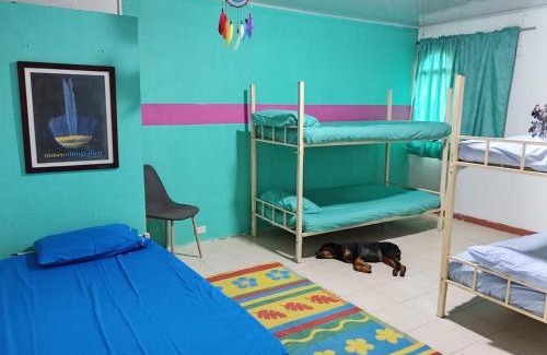 Mocoa Casa | SOL & SELVA Hostal Mocoa Putumayo