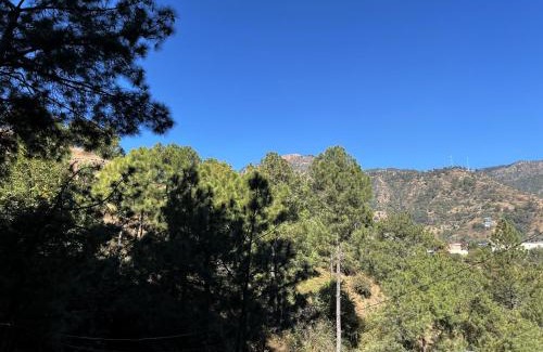 Solan Apartamento | Solan Woods - Cozy Studio Apartment in Chester Hills, Solan